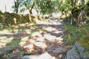 Tramo camiño vello