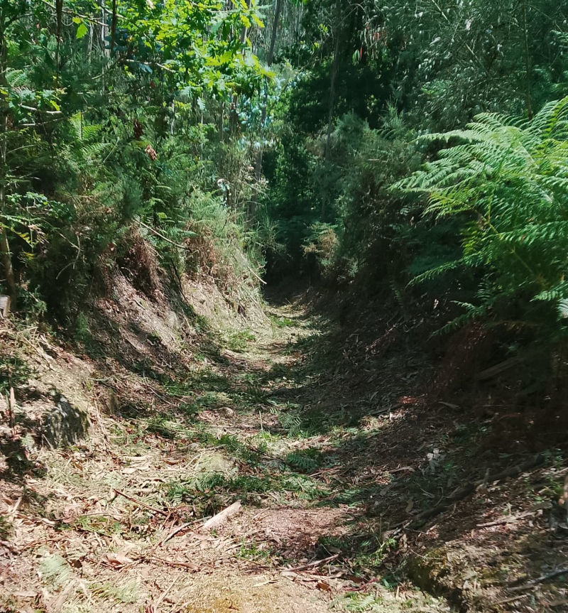 desbroces-camino-peregrinos-pazos-borben-021
