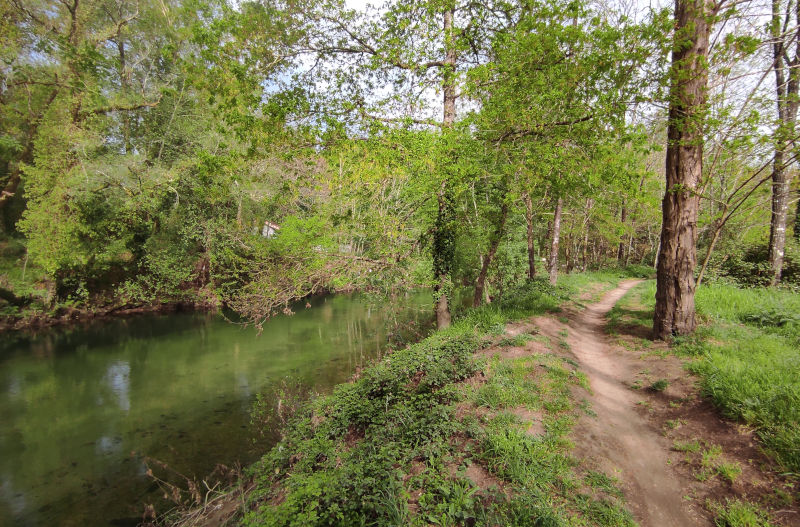 peregrinos-rio-tea-ponteareas-salvaterra-camino