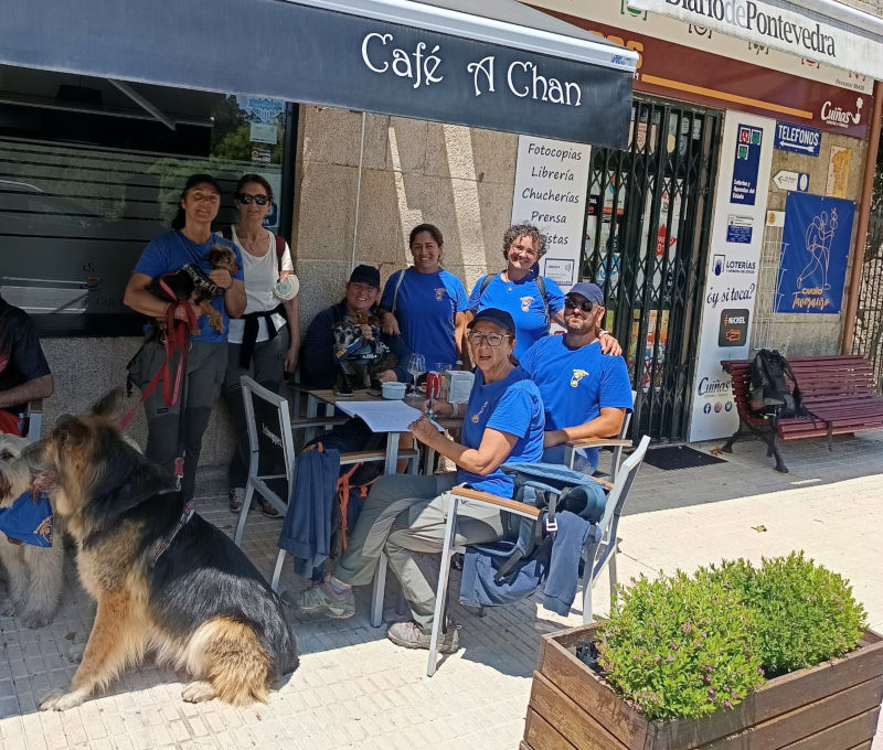 pontepatas-perros-poio-pontevedra-camino-cotobade-2