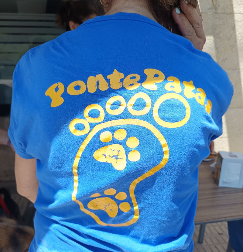 pontepatas-perros-poio-pontevedra-camino-cotobade