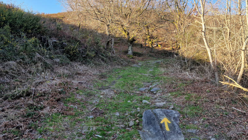 resenalizar-camino-santiago-pintar-flechas-amarillas-2026-03-b