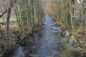 Río Almofrei