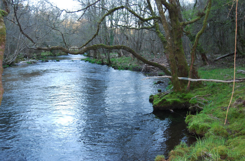 Río Umia