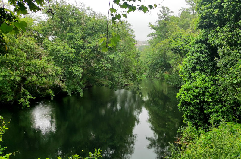 Río Verdugo